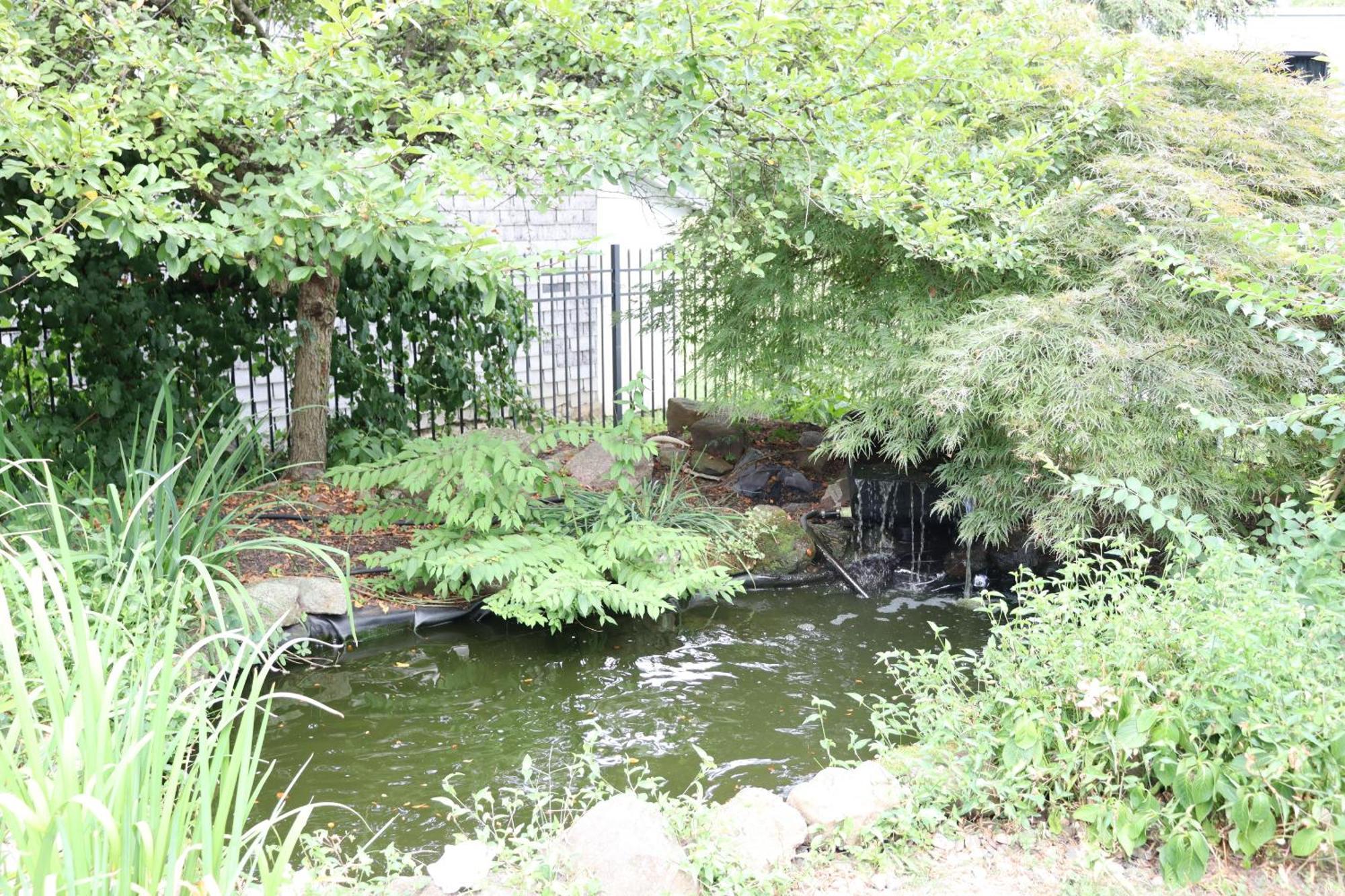 Adamstown Vaast Bed & Breakfast المظهر الخارجي الصورة