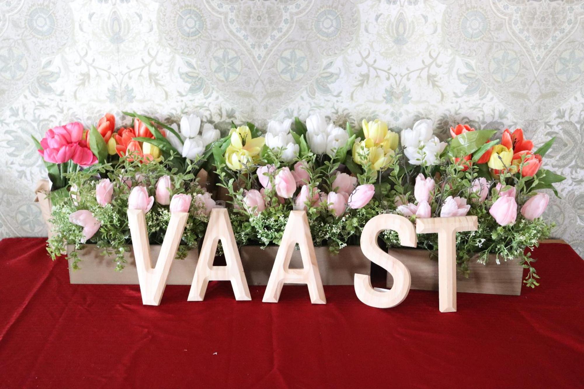 Adamstown Vaast Bed & Breakfast المظهر الخارجي الصورة